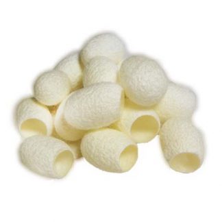 Selected natural silkworm cocoons (10 pieces)