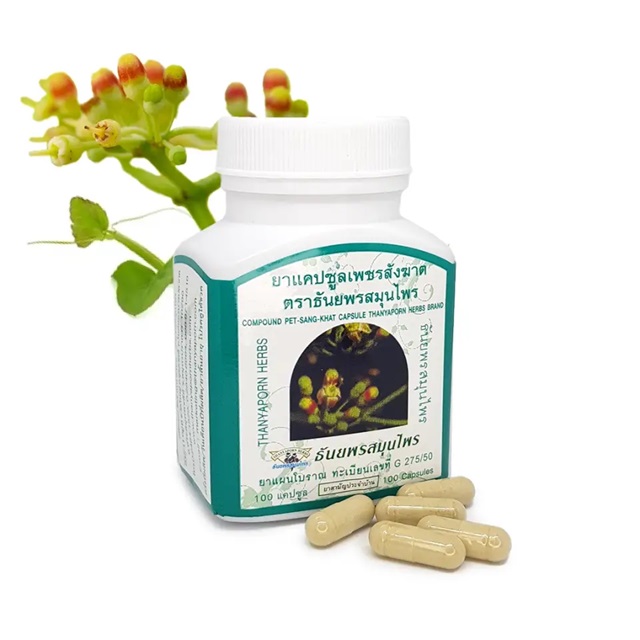 Pet Sung Khat (treatment of varicosis and hemorrhoids) Capsules Thanyaporn Herbs 100’s